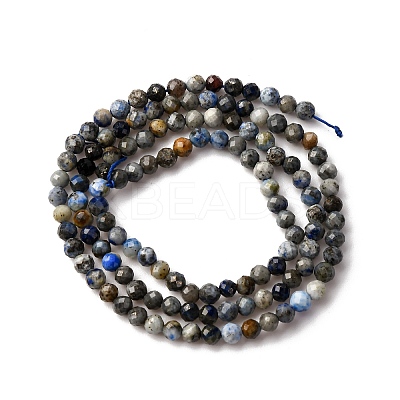 Natural Lapis Lazuli Beads Strands LS-G-L629-B01-3mm-03-1