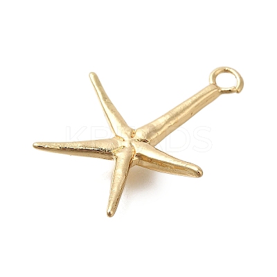 Rack Plating Brass Pendant KK-M079-11G-1
