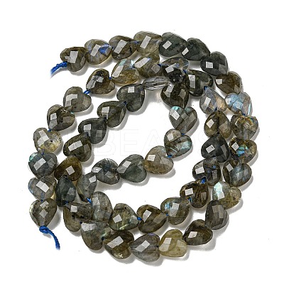 Natural Labradorite Beads Strands G-P544-E01-01-1