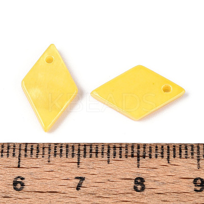 Spray Painted Natural Freshwater Shell Pendants BSHE-T014-07B-1