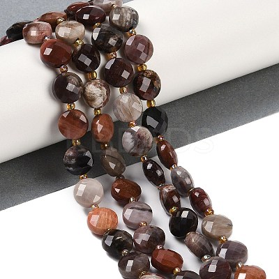 Natural Petrified Wood Beads Strands G-B094-A10-01-1
