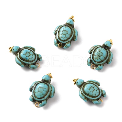 Dyed Synthetic Turquoise Pendants PALLOY-JF00557-1