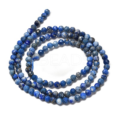 Natural Lapis Lazuli Beads Strands LS-G-RM2025526-A01-3mm-1