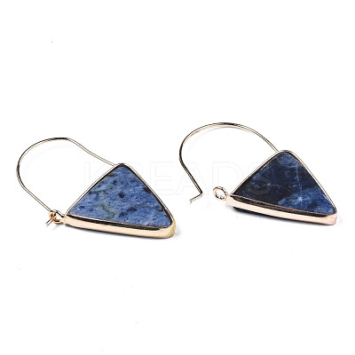 Natural Sodalite Triangle Dangle Hoop Earrings G-S359-363B-1