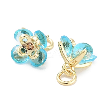 Brass Micro Pave Cubic Zirconia Charms KK-C051-14G-06-1