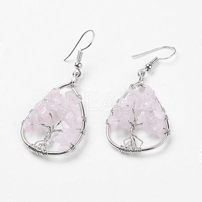 Natural Gemstone Dangle Earrings EJEW-P136-A-1