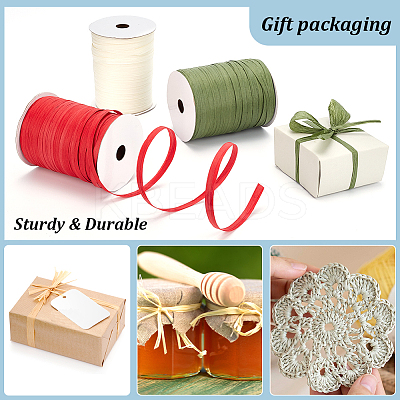 Flat Raffia Paper Ribbon OCOR-BC0006-20C-1