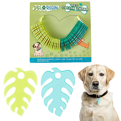 Transparent Blank Acrylic Pet Dog ID Tag PALLOY-AB00042-1