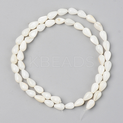Natural Freshwater Shell Beads Strands X-SSHEL-R048-007B-1