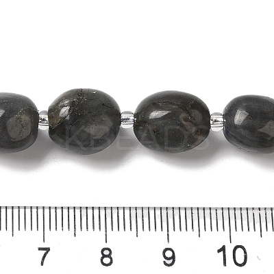Natural Larvikite Beads Strands G-Q169-E05-01-1