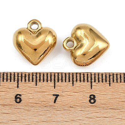 304 Stainless Steel Charms STAS-L303-13G-1