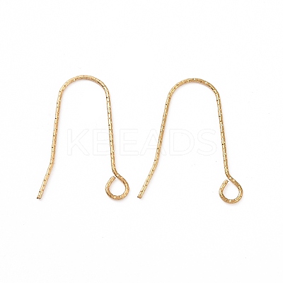 Ion Plating(IP) 316 Stainless Steel Earring Hooks STAS-C059-10G-1