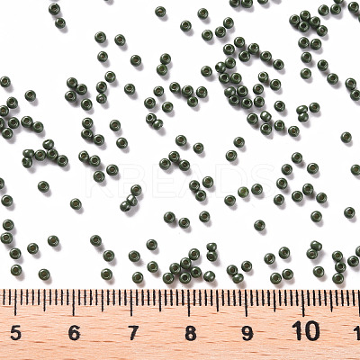 11/0 FGB Grade A Baking Paint Glass Seed Beads X-SEED-N001-A-1040-1