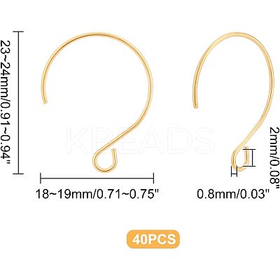 40Pcs Ion Plating(IP) 304 Stainless Steel Earring Hooks STAS-UN0036-42-1