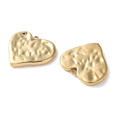 304 Stainless Steel Pendants STAS-L022-551G-1