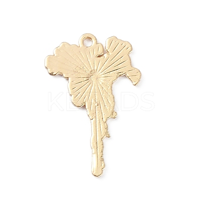 Light Gold Plated Alloy Enamel Pendants ENAM-D065-01KCG-01-1