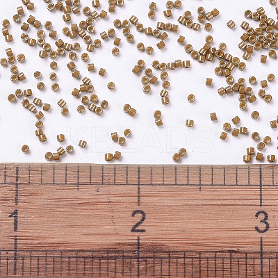 MIYUKI Delica Beads SEED-J020-DB0664-1