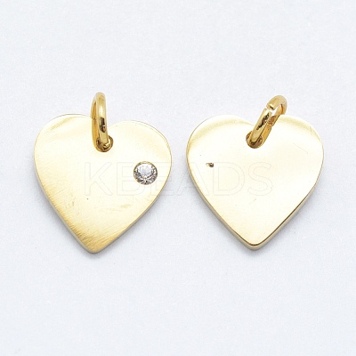 316 Surgical Stainless Steel Pendants X-STAS-K178-05G-1