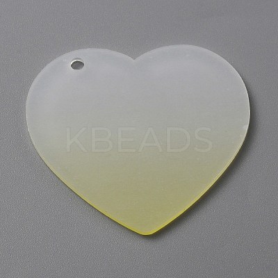 Gradient Transparent Acrylic Disc Big Pendants FIND-WH0032-54F-1