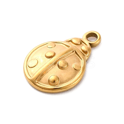 304 Stainless Steel Charms STAS-G354-01A-G-1