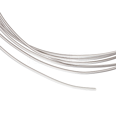 1M 925 Sterling Silver Wire STER-BC0003-01A-P-1