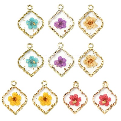 10Pcs 5 Colors Zinc Alloy Epoxy Resin Pendants FIND-CJ0004-93-1