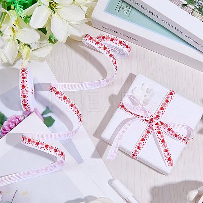 Polyester Ribbon OCOR-WH20061-002-1