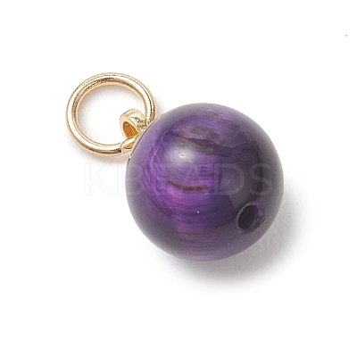 Dyed Natural Tiger Eye Round Charms PALLOY-JF04979-1