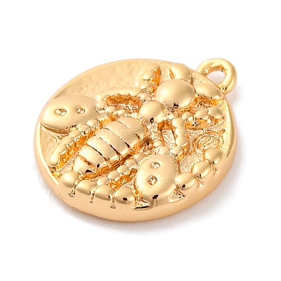 Brass Pendants With Clear Cubic Zirconia KK-S403-03G-1