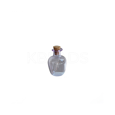 Miniature Glass Empty Wishing Bottles BOTT-PW0006-02H-1