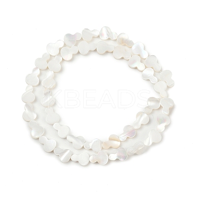 Natural Freshwater Shell Beads Strands SHEL-K010-02A-1