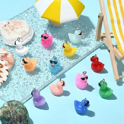 60Pcs 12 Colors Opaque Resin Pendants RESI-SZ0003-28-1