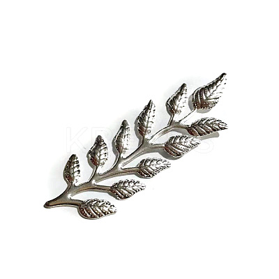 Iron Cabochons IFIN-L040-01S-1