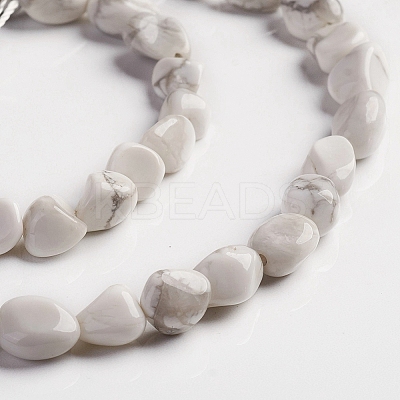 Natural Howlite Beads Strands LS-G-D0002-B34-1