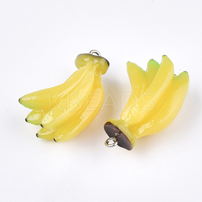 Resin Pendants X-RESI-T028-46-1