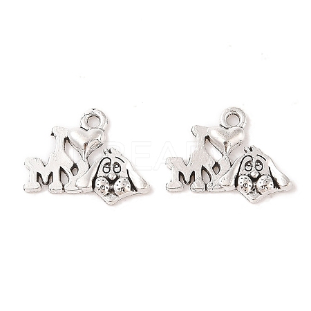 Tibetan Style Alloy Message Charms X-TIBEP-Q043-095-RS-1