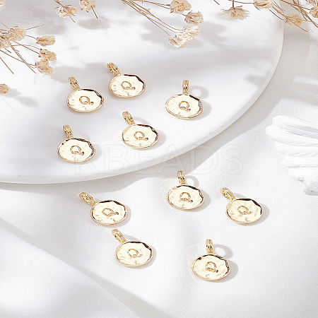 10Pcs Alloy Pendants FIND-LP0003-36Q-1