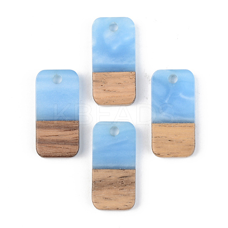 Opaque Resin & Walnut Wood Pendants X-RESI-S389-044A-C01-1