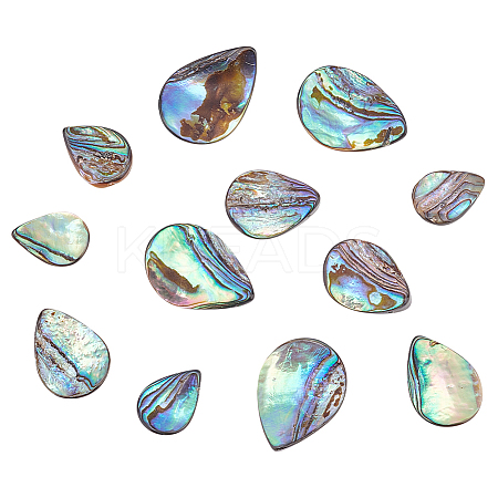 HOBBIESAY 12Pcs 3 Styles Natural Abalone Shell/Paua Shell Beads SHEL-HY0001-02-1