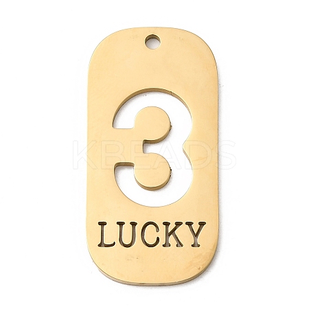 304 Stainless Steel Pendants STAS-D200-02D-G-1