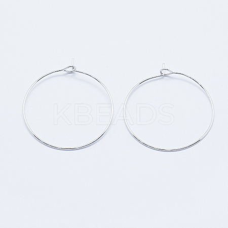 Long-Lasting Plated Brass Hoop Earrings Findings LS-KK-K204-179P-NF-1