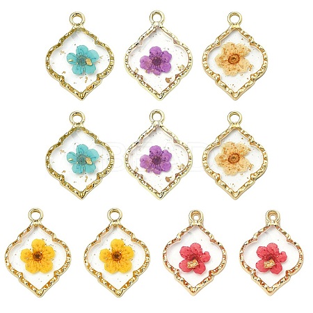 10Pcs 5 Colors Zinc Alloy Epoxy Resin Pendants FIND-CJ0004-93-1