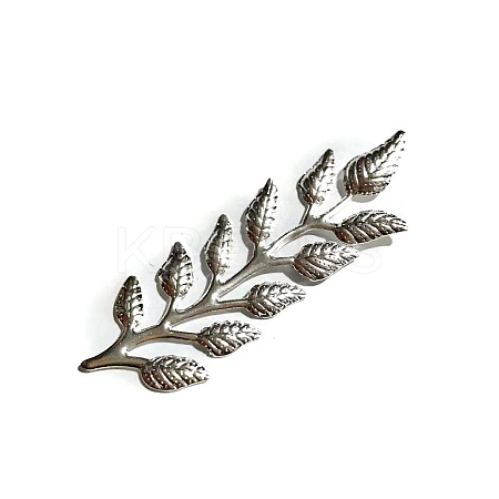 Iron Cabochons IFIN-L040-01S-1