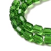 Glass Beads Strands GLAA-G112-01E-3