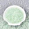 Frosted Glass Seed Beads SEED-N012-01D-2
