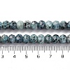 Natural Sesame Jasper Beads Strands G-K380-A18-01-5