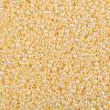 TOHO 8/0 Round Beads X-SEED-TR08-0903-2