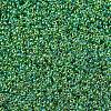 MIYUKI Round Rocailles Beads X-SEED-G007-RR0341-3