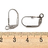 Non-Tarnish 304 Stainless Steel Leverback Earring Findings STAS-P360-02A-P-2