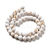Synthetic Turquoise and Sea Shell Assembled Beads Strands G-D482-01A-05-3